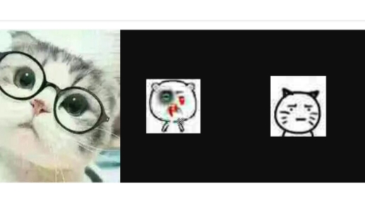 小猫表情包合集官方版 小猫表情包合集官方版