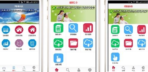 四川省残疾人量服平台安卓版
