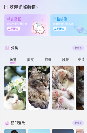 萌猫派对壁纸高清图片app 萌猫派对壁纸高清图片app