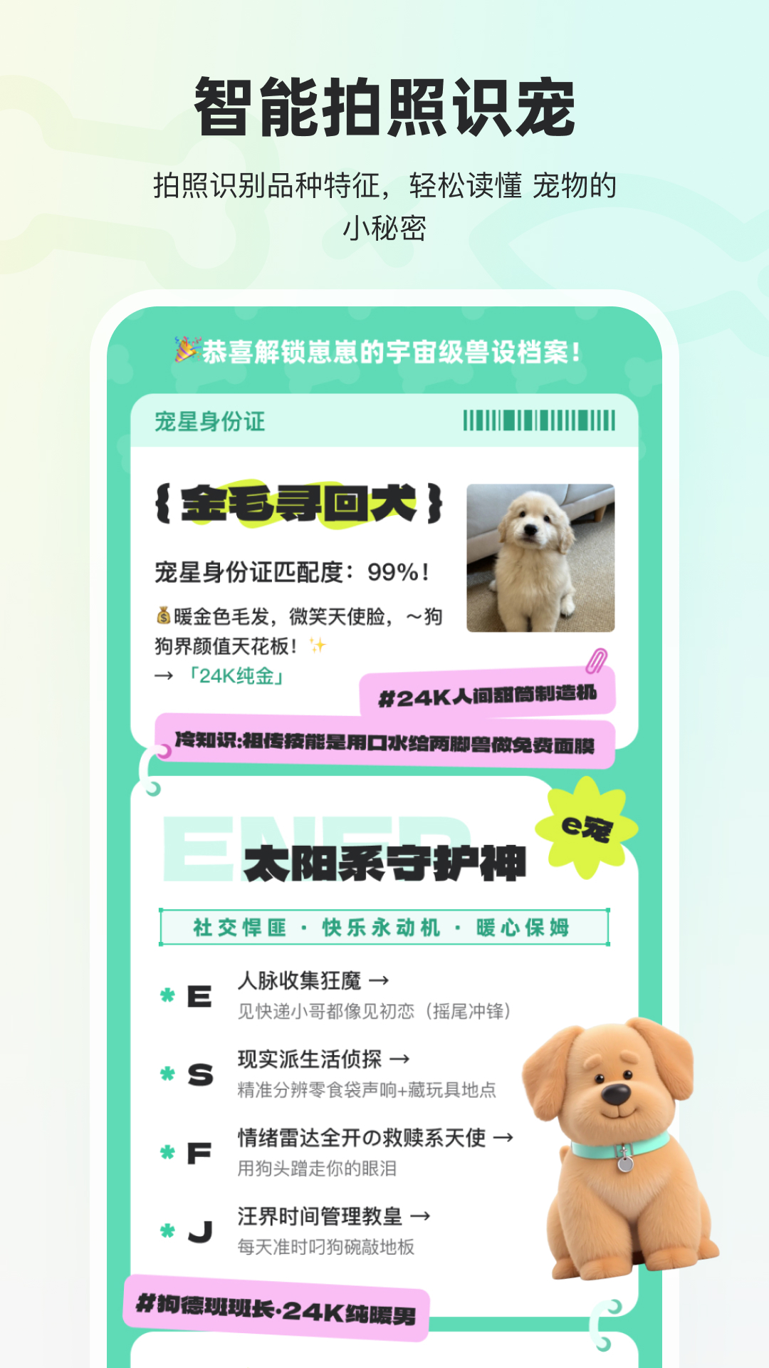 宠拍档app最新版4