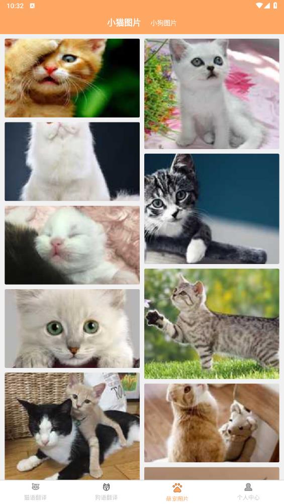 猫狗宠物翻译器app安卓版2