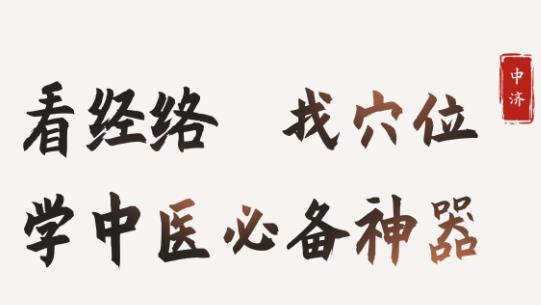 中济经络穴位app最新版 中济经络穴位app最新版