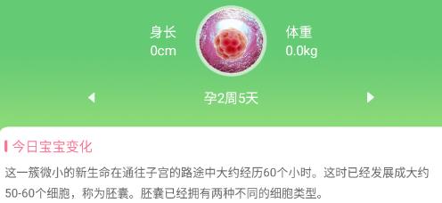 喜芽胎心监护app安卓版 喜芽胎心监护app安卓版