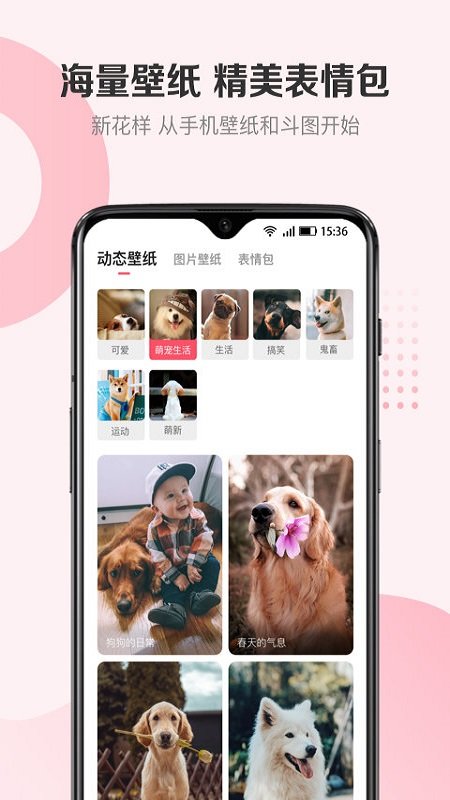 68宠物官方版app2