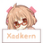 Xadkern模块app手机版