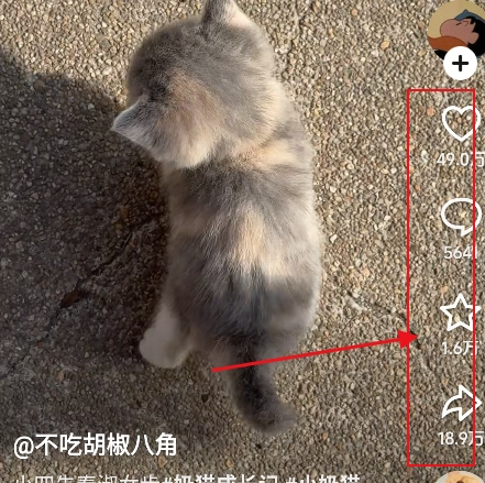 随变app官方版
