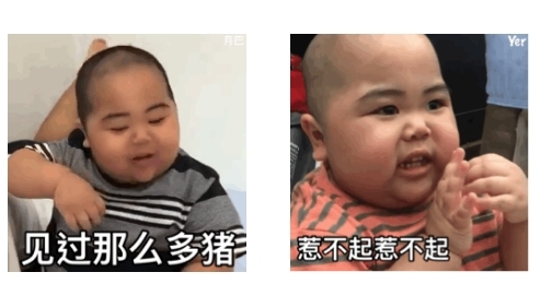 表情助手app官方版 表情助手app官方版