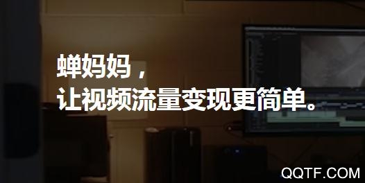 蝉妈妈app官方版 蝉妈妈app官方版