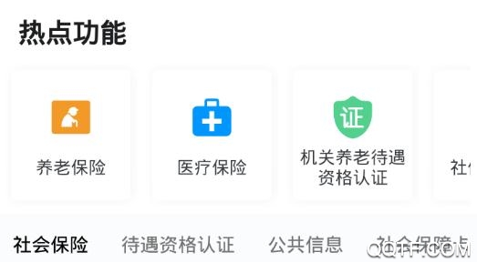 石家庄人社局网上服务大厅