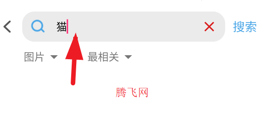 pixabay素材工厂app手机版 pixabay素材工厂app手机版