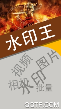 水印王 水印王