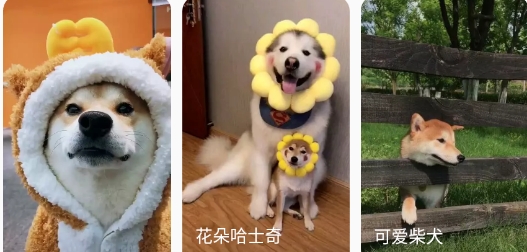 图图乐app官方版 图图乐app官方版