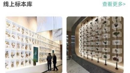 生物多样性app安卓版 生物多样性app安卓版