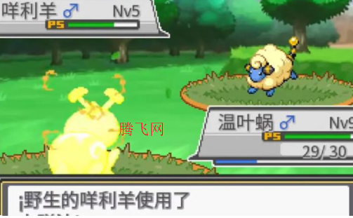 宝可梦蛋白石手机版 宝可梦蛋白石手机版
