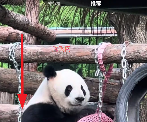 翻视界短视频app手机版 翻视界短视频app手机版