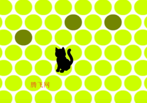 诱捕猫trap the cat游戏官方版