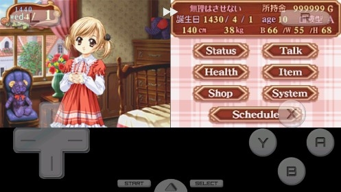 美少女梦工厂4DS特别版金手指版