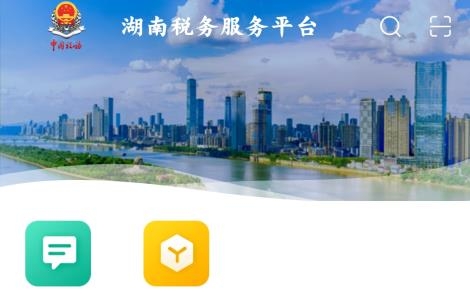 湖南税务服务平台官方版 湖南税务服务平台官方版