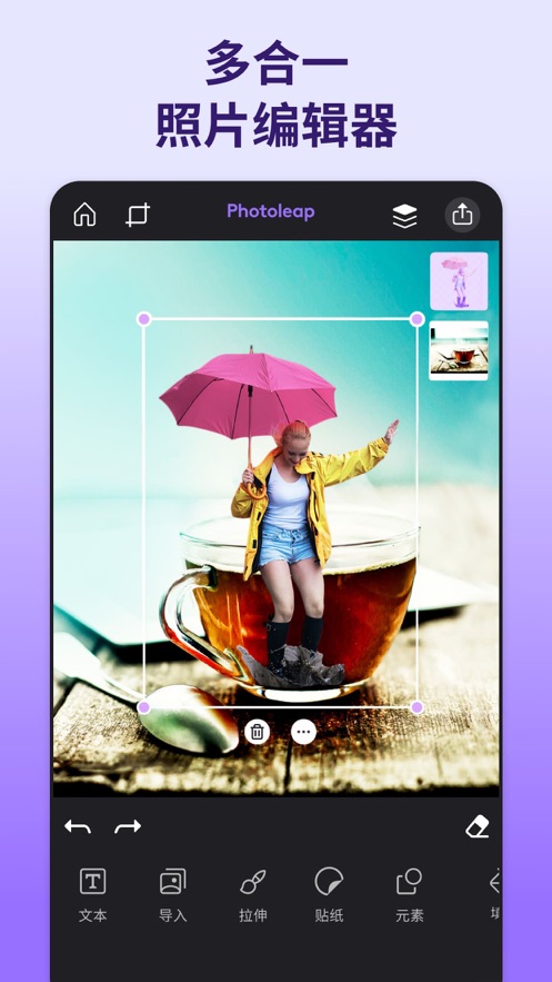 Photoleap苹果版4