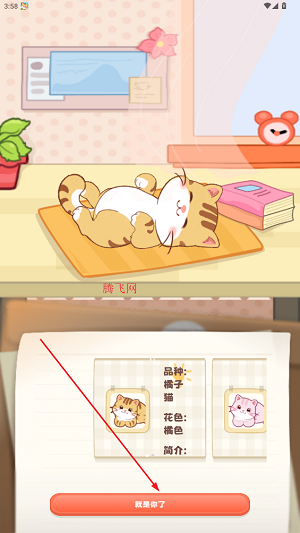桌面喵最新版 桌面喵最新版
