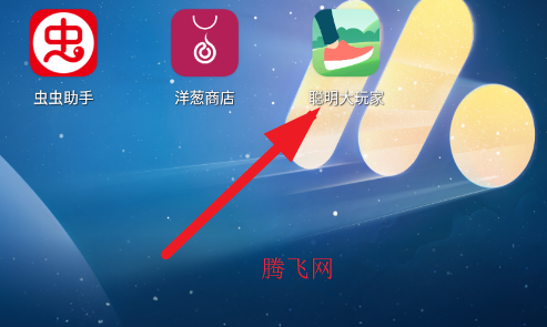 聪明大玩家计步软件官方版