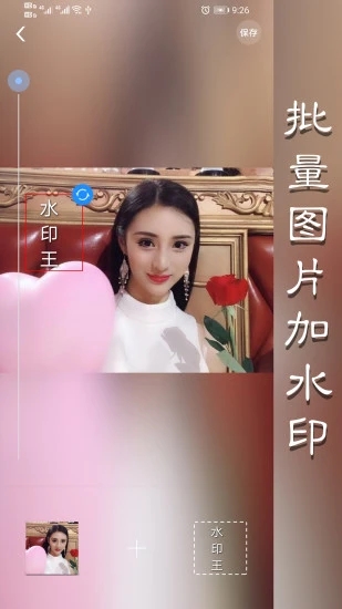 水印王app3