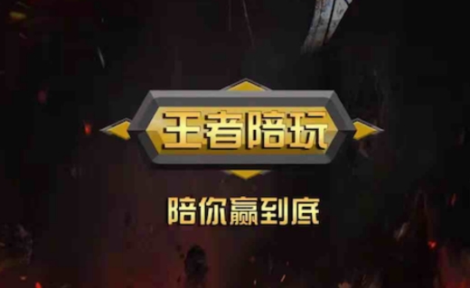 王者陪玩游戏陪玩软件app手机版