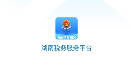 湖南税务服务平台官方版 湖南税务服务平台官方版