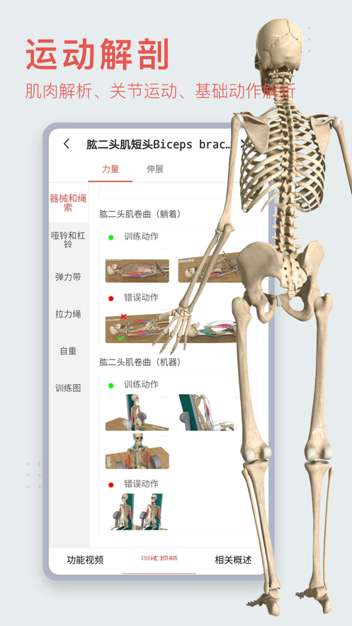 3dbody解剖图手机版0