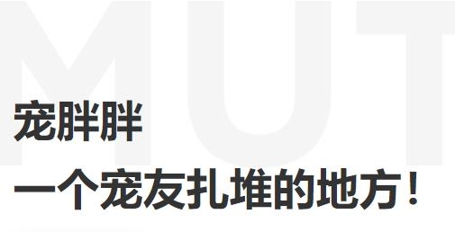 宠胖胖安卓版