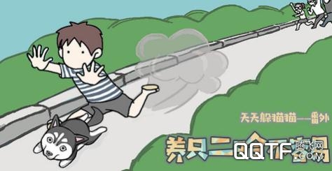 养只二哈不容易 养只二哈不容易
