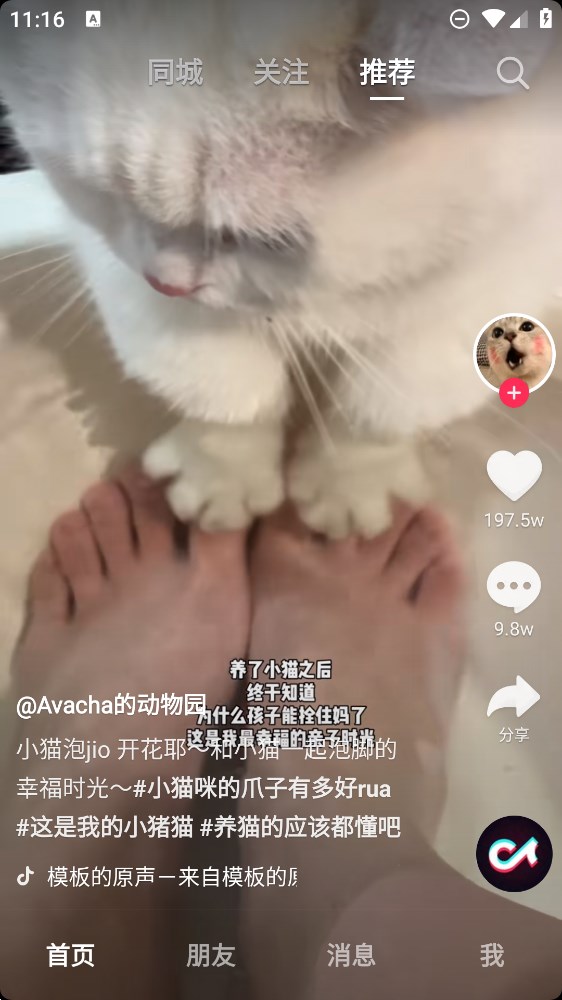 抖音港区版3