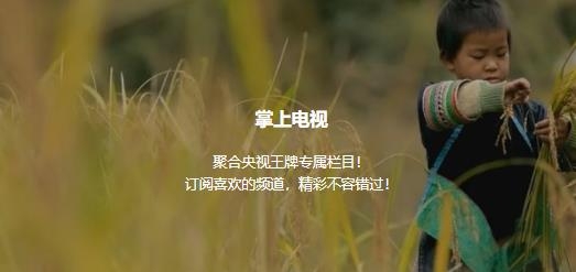 央视频tv版