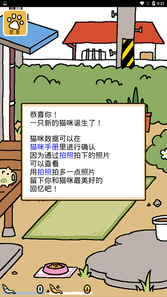 猫咪后院游戏汉化版0