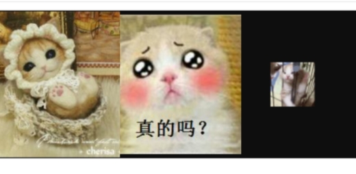 小猫表情包合集官方版 小猫表情包合集官方版