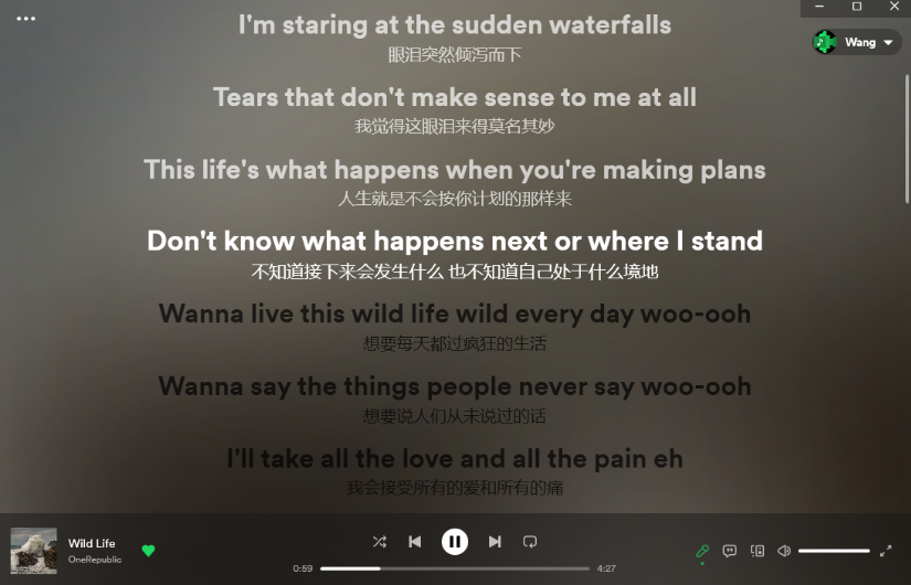 手机Spotify插件lyricify安卓版0