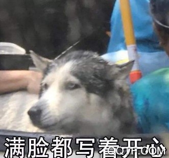 花瓣网崩了微博话题 花瓣网崩了是怎么回事 花瓣网崩了微博话题 花瓣网崩了是怎么回事