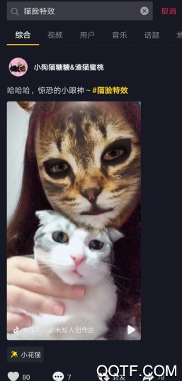 抖音很火的猫脸特效在哪里 抖音App小花猫特效怎么拍摄