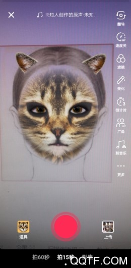 抖音很火的猫脸特效在哪里 抖音App小花猫特效怎么拍摄