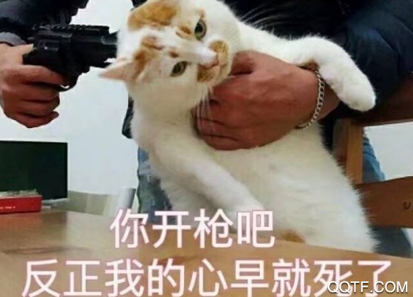 淘宝能改昵称了吗 淘宝改会员名问题解答