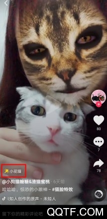 抖音很火的猫脸特效在哪里 抖音App小花猫特效怎么拍摄