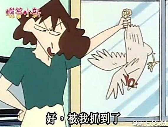 微博上鸡笼是什么梗 鸡笼警告骚鸡梗的意思