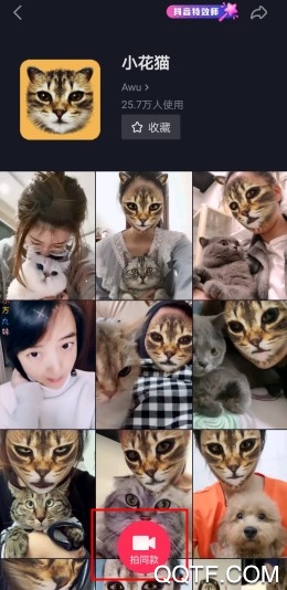 抖音很火的猫脸特效在哪里 抖音App小花猫特效怎么拍摄