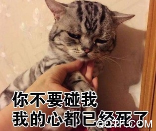 花瓣网崩了微博话题 花瓣网崩了是怎么回事 花瓣网崩了微博话题 花瓣网崩了是怎么回事