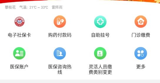 攀枝花智慧医保官方版