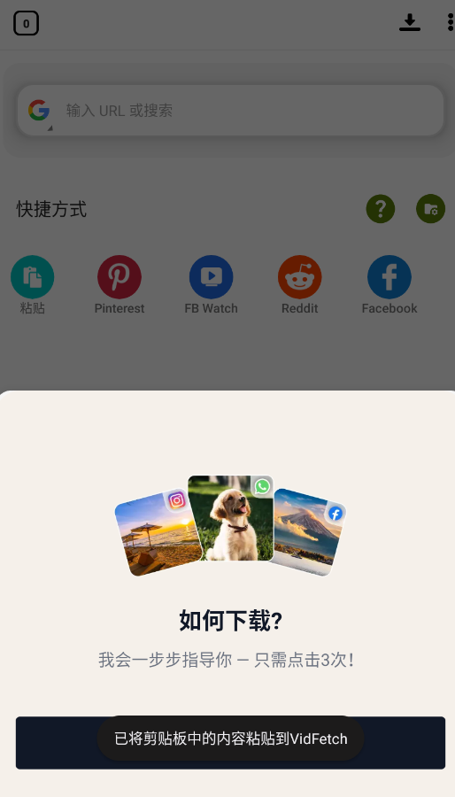 VidFetch视频下载器app2