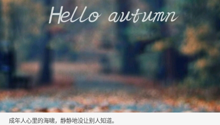 晚安语录app官方版 晚安语录app官方版