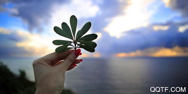 花样生活app最新版 花样生活app最新版