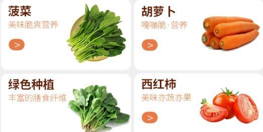 飞英巨天app最新版