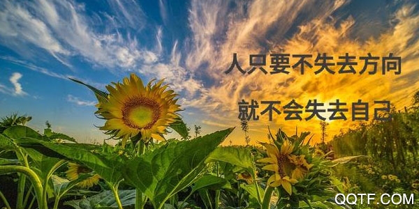 高考激励语录手机版